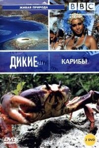 Постер «BBC: Дикие Карибы»