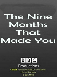 Постер «Девять месяцев, которые создают нас»