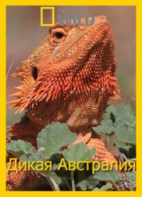 Постер «Дикая Австралия»