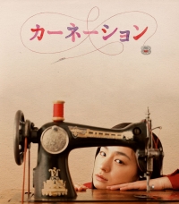 Постер «Гвоздика»