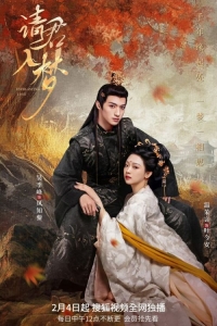 Постер «Войди в мои сны»