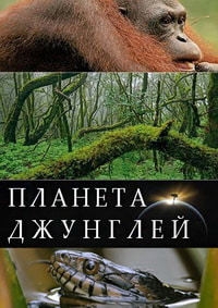 Постер «Планета джунглей»