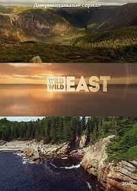 Постер «Дикий, дикий восток»