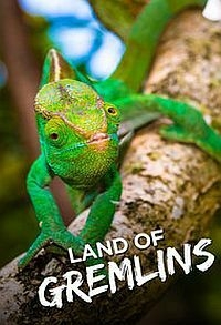 Постер «Земля гремлинов»
