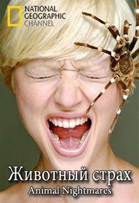 Постер «Животный страх»