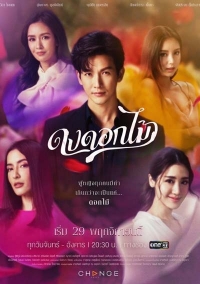 Постер «Желанный цветок»