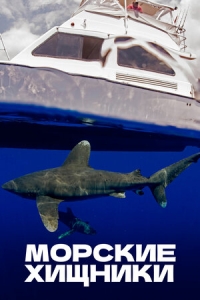 Постер «Морские хищники»