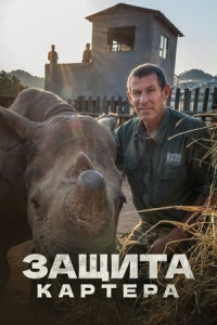 Постер «Защита Картера»