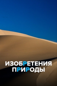 Постер «Изобретения природы»