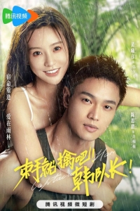 Постер «Сдавайся, капитан Хань!»