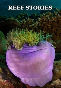 Постер «Истории о рифах»