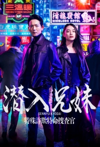 Постер «Брат и сестра под прикрытием»