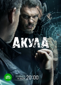 Постер «Акула (2021)»