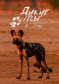 Постер «Дикие псы: в стае»