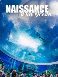 Постер «Рождение океана»