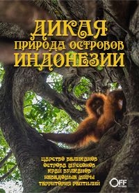 Постер «Дикая природа островов Индонезии»