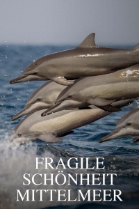 Постер «Тайны Средиземноморья»