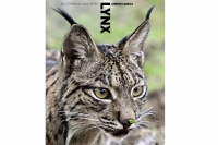 Постер «Земля пиренейской рыси»