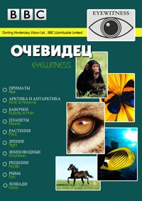 Постер «Очевидец»