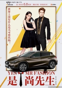 Постер «Да, господин модельер!»